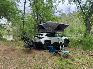 alpha-gal sucks photo